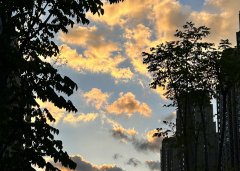 巴基斯坦公司注銷(xiāo)核心環(huán)節(jié)全解析