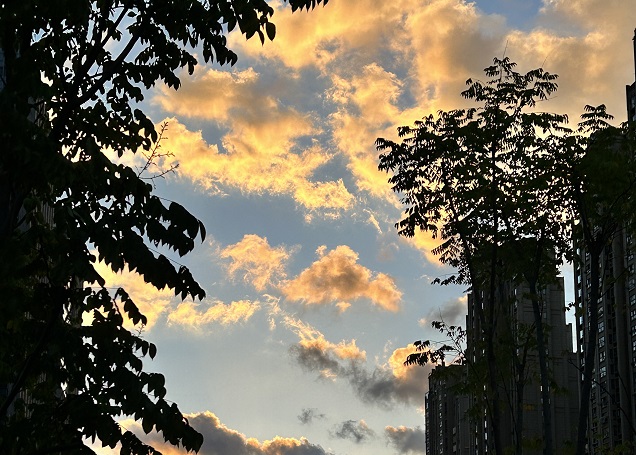 巴基斯坦公司注銷(xiāo)核心環(huán)節(jié)全解析