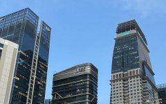 新加坡公司董事和股東可以是同一個(gè)人嗎?答案與合規(guī)指南